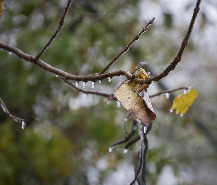 Ada area spared the brunt of ice storm